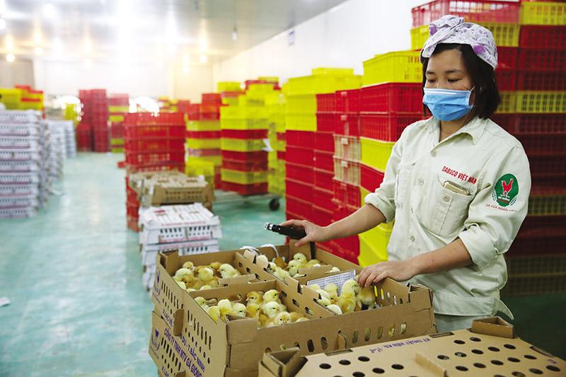 nhieu-doanh-nghiep-dat-ke-hoach-kinh-doanh-tang-truong-hai-con-so