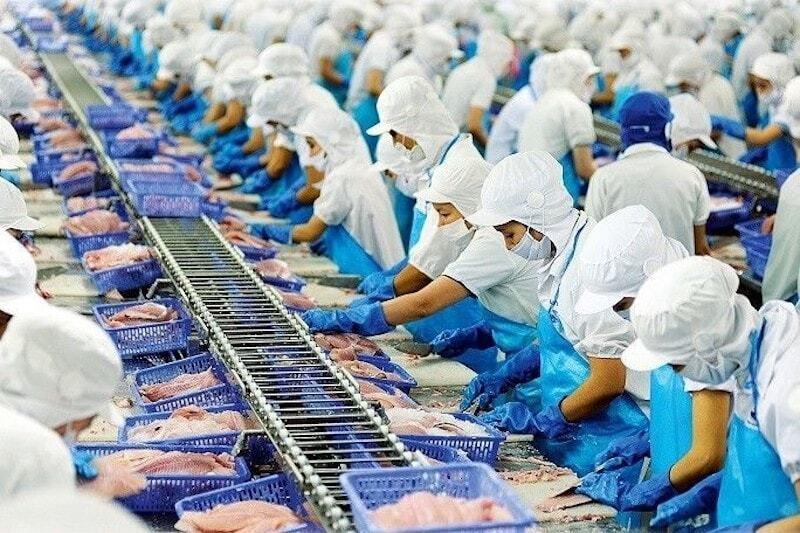 viet-nam-la-doi-tac-cung-ung-thuy-san-thu-3-tai-thi-truong-singapore