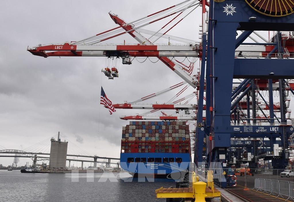 Vì sao thương mại toàn cầu vẫn đứng vững trước cơn bão thuế quan?