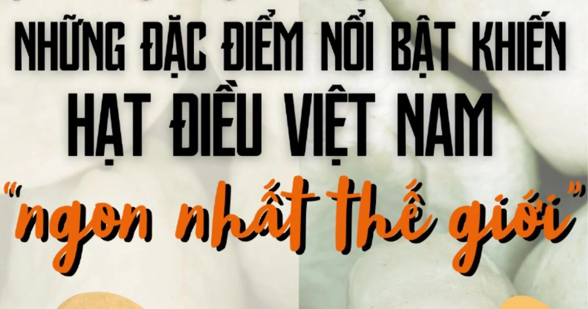 vi-sao-hat-dieu-viet-nam-lai-duoc-danh-gia-la-ngon-nhat-the-gioi