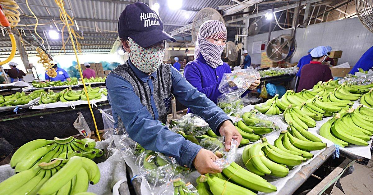ho-tro-kinh-phi-bao-ve-thuong-hieu-cho-nong-dan-va-san-pham-trong-nuoc