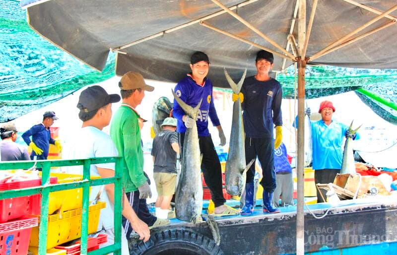 Chuẩn hóa sản xuất, Gia Lai hướng mục tiêu xuất khẩu 3,05 tỷ USD