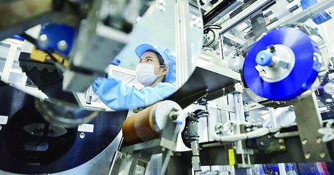 dnnn-phai-bao-cao-tinh-hinh-co-phan-hoa-ket-qua-kinh-doanh-nam-2025-truoc-2510