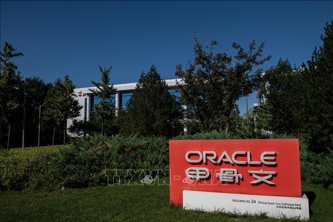 Nhà đồng sáng lập Oracle "chớp nhoáng" giành ngôi vị người giàu nhất thế giới