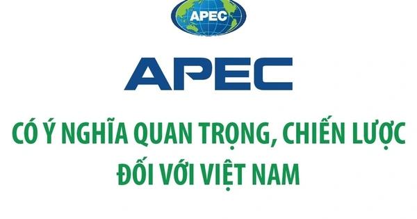 APEC có ý nghĩa quan trọng, chiến lược đối với Việt Nam