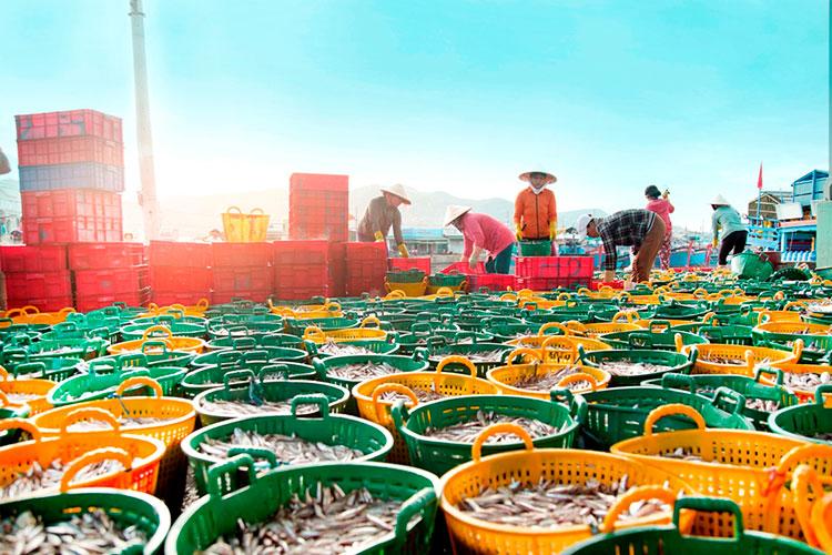 Doanh nghiệp vẫn tiếp tục đăng ký mới, dù chậm lại