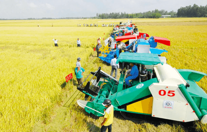 Kinh tế hợp tác và phát triển nông thôn: Kiến thiết thể chế, xây dựng nền nông nghiệp văn minh, hiện đại