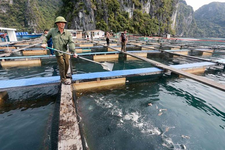 nuoi-bien-cong-nghe-cao-gop-phan-phat-trien-ben-vung-nganh-thuy-san