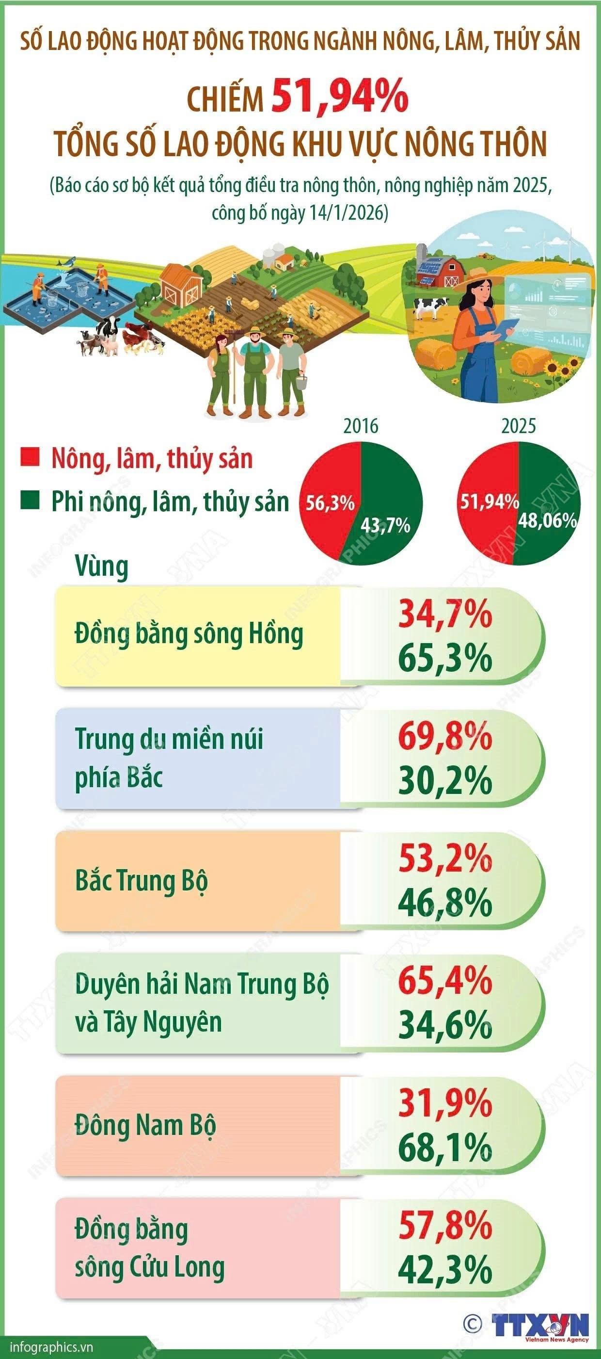 Số lao động ngành nông, lâm, thủy sản chiếm hơn 51% tổng số lao động khu vực nông thôn