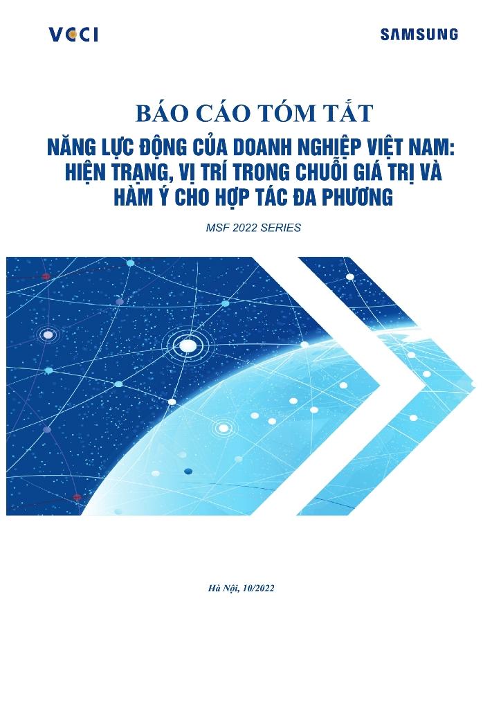 Báo cáo năng lực động của doanh nghiệp Việt Nam: hiện trạng, vị trí trong chuỗi giá trị và hàm ý cho hợp tác đa phương