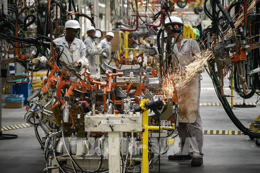 Chính sách thương mại của Mỹ ảnh hưởng tới phần lớn doanh nghiệp Brazil