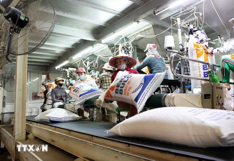 Thị trường nông sản: Giá gạo xuất khẩu của Việt Nam tiếp tục tăng