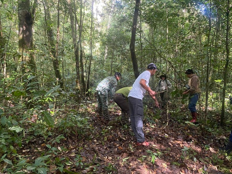 Vật liệu gỗ xây dựng: Góc nhìn từ thị trường nguyên liệu đến chiến lược lâm nghiệp
