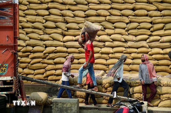 thi-truong-nong-san-gia-gao-xuat-khau-chua-co-tin-hieu-hoi-phuc