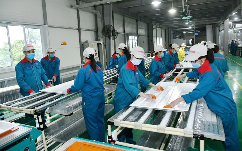 DN rút khỏi thị trường tăng mạnh: 'Điều bình thường, không quá lo lắng'