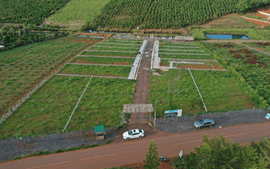 co-duoc-dieu-chinh-thoi-han-su-dung-dat-de-hop-thua