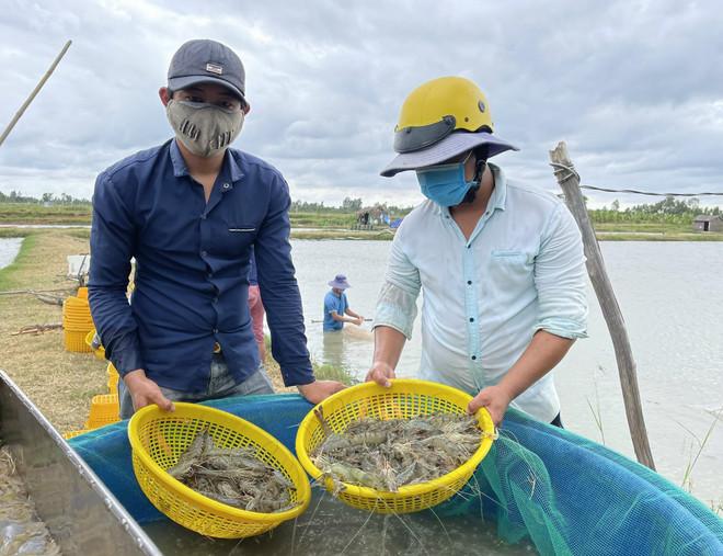 tp-ho-chi-minh-gia-tom-thuong-pham-tang-manh-nguoi-nuoi-phan-khoi