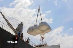 Cầu yếu, cung tăng gây sức ép lên giá gạo xuất khẩu của các nước châu Á