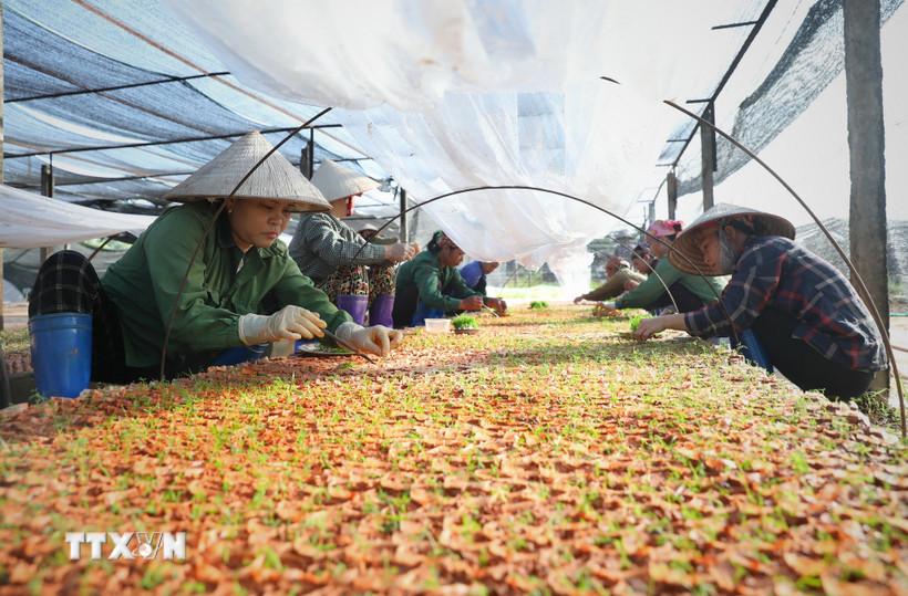 thuc-hien-nghi-quyet-68-khong-to-hong-va-phai-dong-dem-duoc