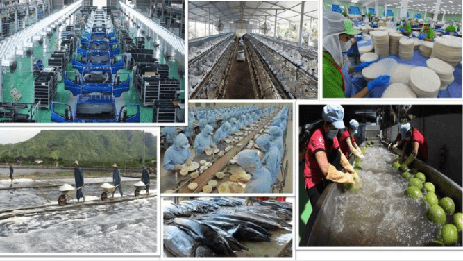 cai-cach-chinh-sach-thue-luc-day-cho-kinh-te-tu-nhan-phat-trien