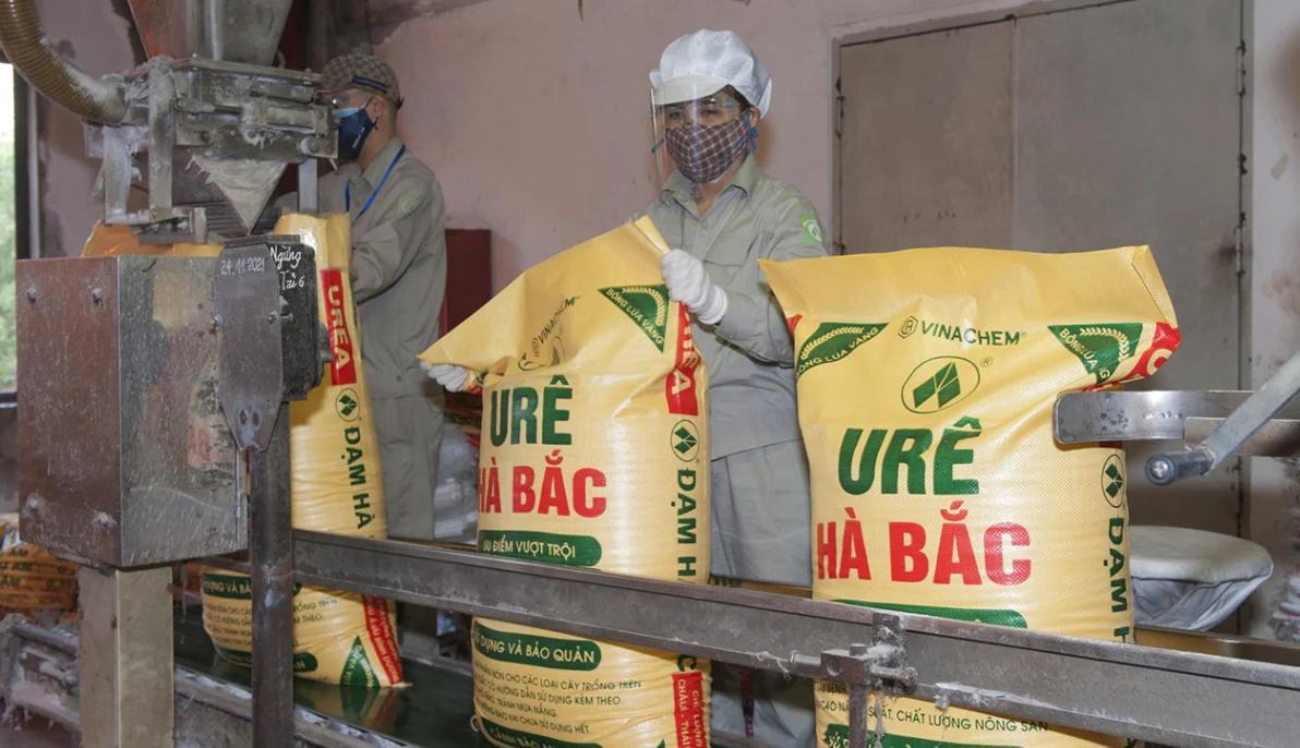 ho-kinh-doanh-va-dn-luu-y-12-quy-dinh-thue-moi-co-hieu-luc-tu-17