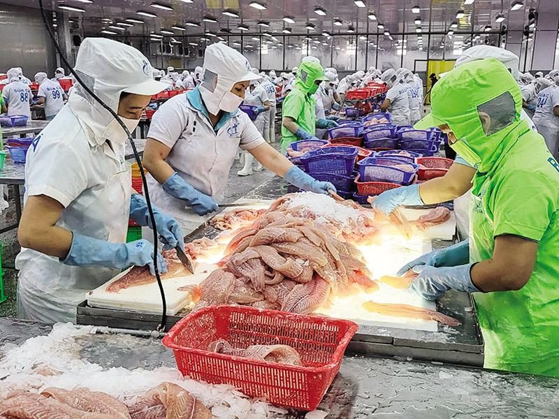 hoa-giai-thach-thuc-tu-nguy-co-thuong-chien-the-gioi