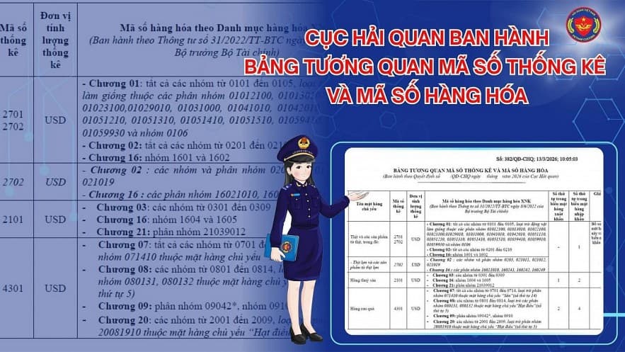 hai-quan-ban-hanh-bang-tuong-quan-ma-so-thuan-loi-tra-cuu-va-thong-ke-hang-hoa