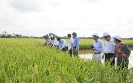 quy-dinh-don-vi-su-nghiep-cong-lap-khuyen-nong-cap-tinh-cap-xa