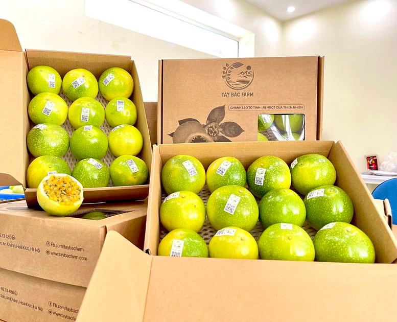 nganh-rau-qua-chung-tay-dua-xuat-khau-dat-10-ty-usd