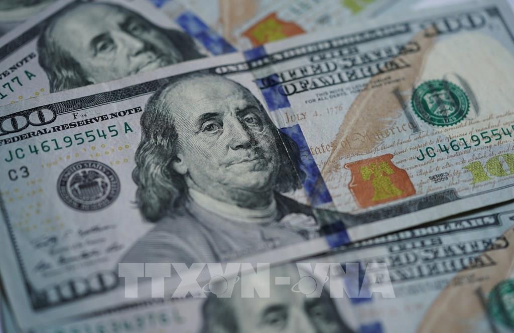 tin-hieu-tich-cuc-tu-nhung-trai-phieu-xanh