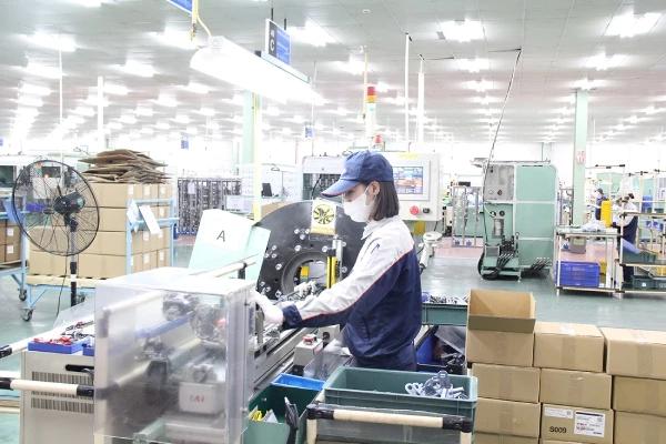 hon-44-doanh-nghiep-gap-kho-trong-thuc-hien-thu-tuc-hanh-chinh