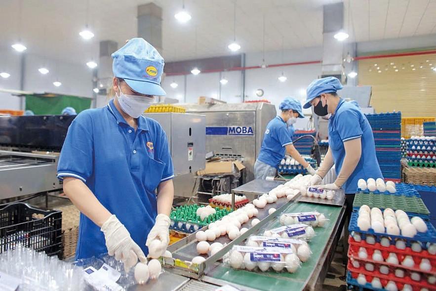 cai-thien-moi-truong-kinh-doanh-thuc-day-kinh-te-tu-nhan-phat-trien