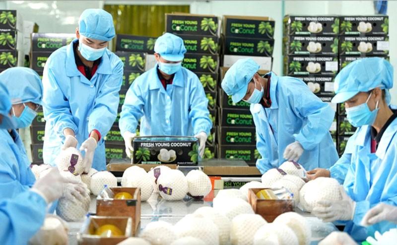 ky-vong-nganh-rau-qua-viet-co-the-mang-ve-hon-8-ty-usd-trong-nam-2025