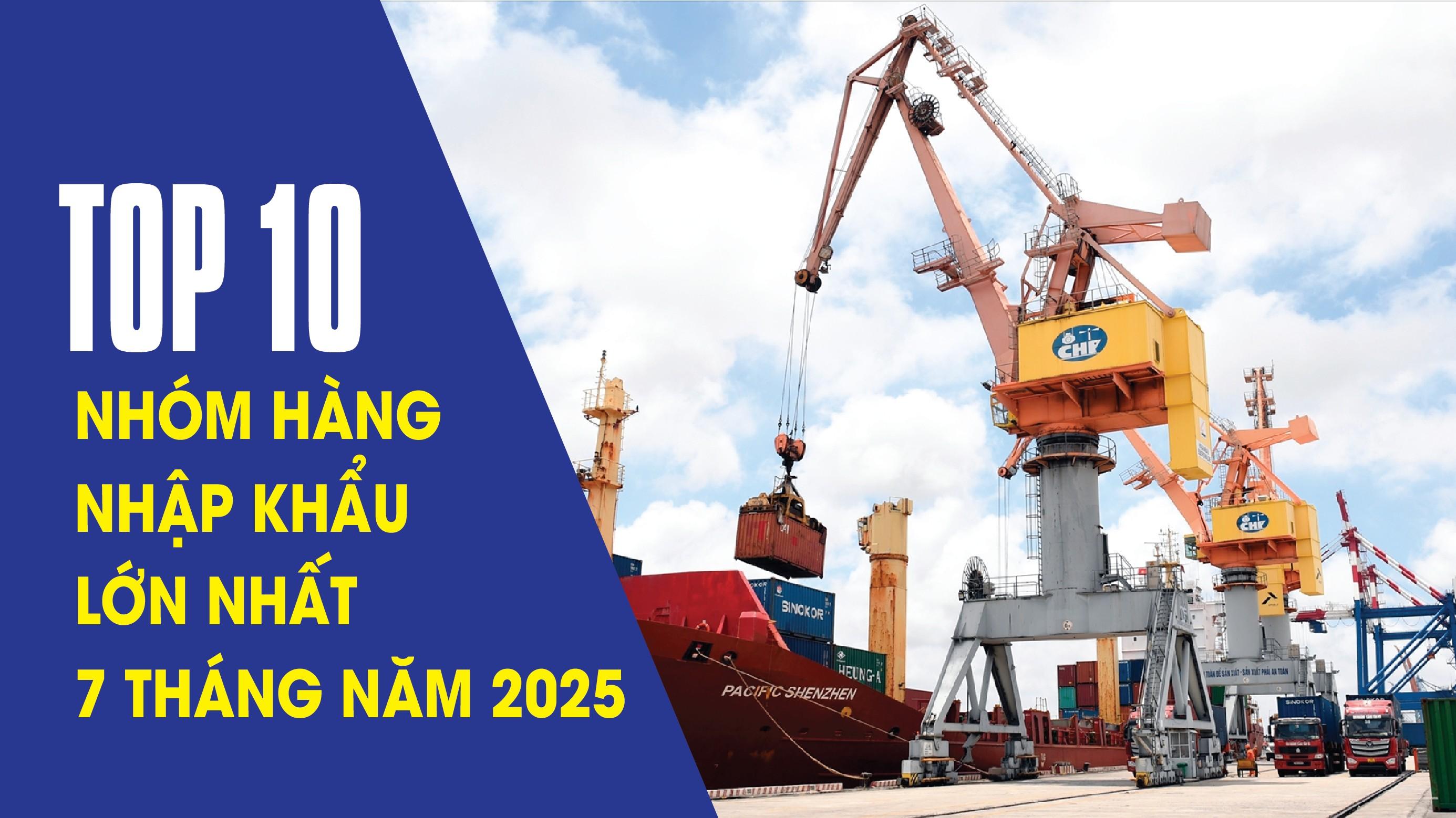 infographics-top-10-nhom-hang-nhap-khau-lon-nhat-trong-7-thang-nam-2025