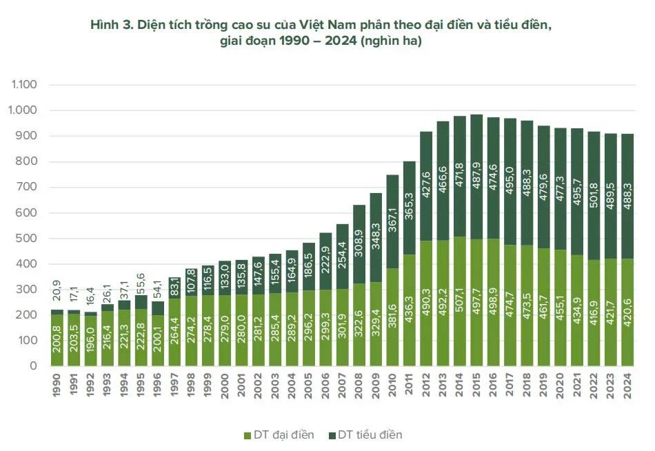 Doanh nghiệp ngành cao su và bài toán liên kết chuỗi