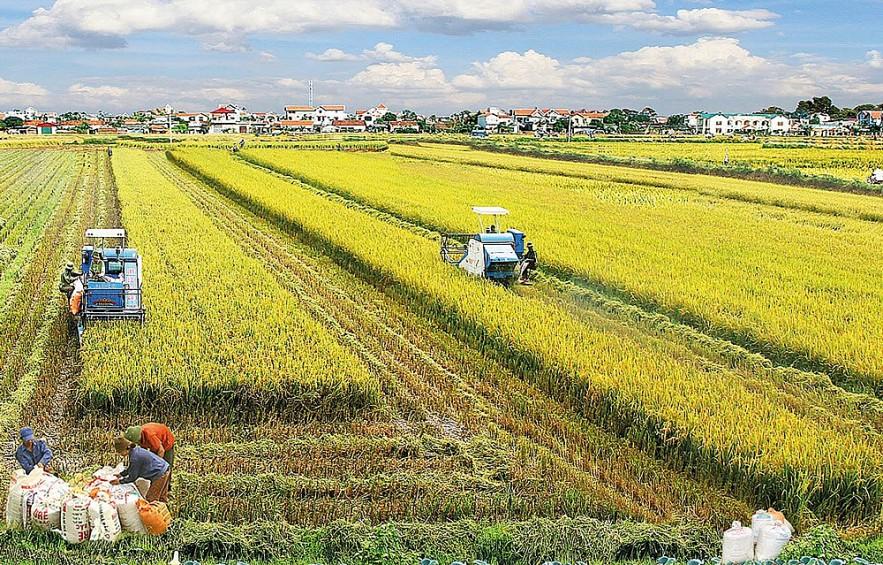 Việt Nam - một địa điểm đáng mơ ước để kinh doanh