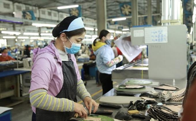 Tháng 1 có hơn 52,8 nghìn doanh nghiệp tạm ngừng kinh doanh có thời hạn