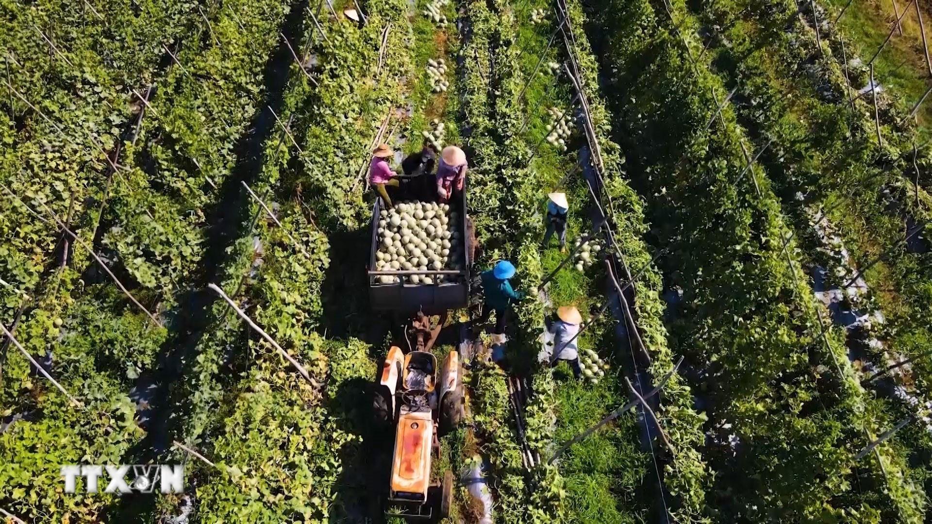 Bộ NN-MT: Năm 2026, phấn đấu xuất khẩu nông lâm thủy sản đạt 74 tỷ USD