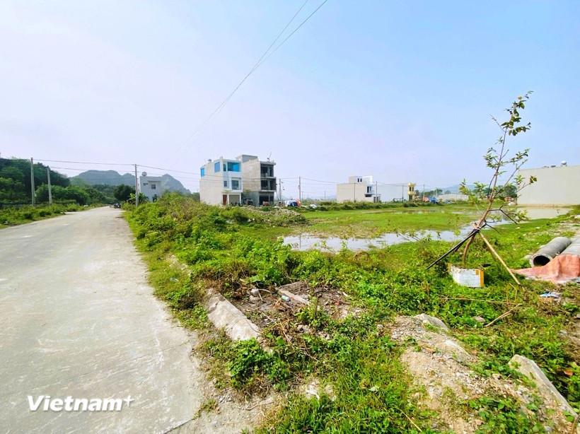 Phân cấp thẩm quyền cho Ủy ban Nhân dân cấp tỉnh thực hiện về lĩnh vực đất đai