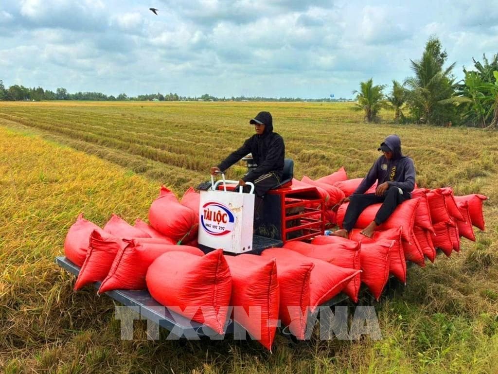 tan-dung-fta-mo-rong-va-da-dang-hoa-thi-truong-xuat-khau-gao