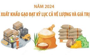 Xuất khẩu gạo đạt kỷ lục cả về lượng và giá trị trong năm 2024