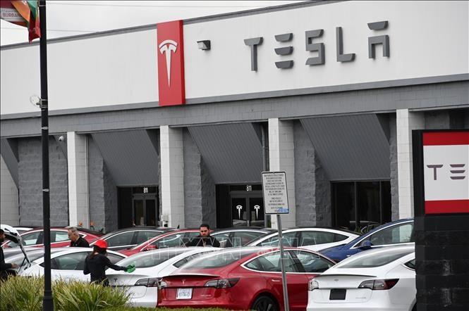 Lợi nhuận của Tesla giảm hơn 70% trong quý I/2025