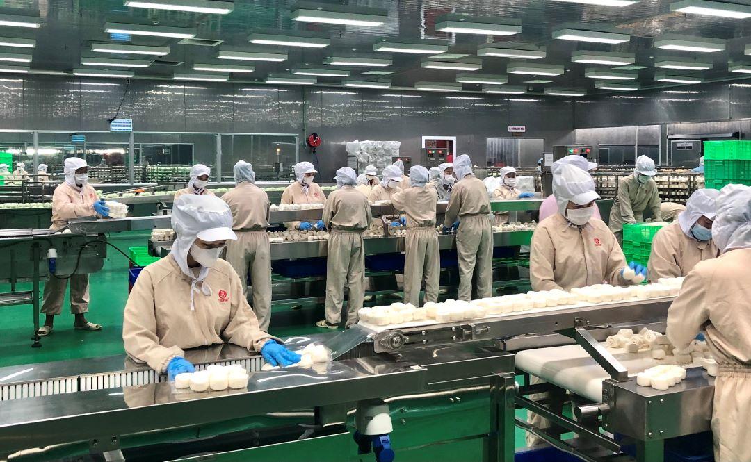 tphcm-doanh-nghiep-thanh-lap-moi-giam-nhe