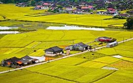 dieu-kien-thu-tuc-chuyen-dat-trong-lua-sang-dat-o-nong-thon