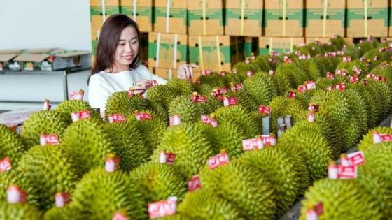 FTA Index: Chỉ rõ những khoảng trống và dư địa để tận dụng cơ hội hội nhập