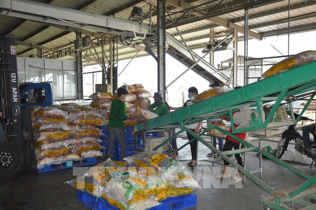 giam-chi-phi-tang-niem-tin-chien-luoc-hut-doanh-nghiep-cua-dong-thap