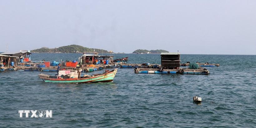 An Giang đầu tư khoảng 600 tỷ đồng nâng cấp cảng cá An Thới